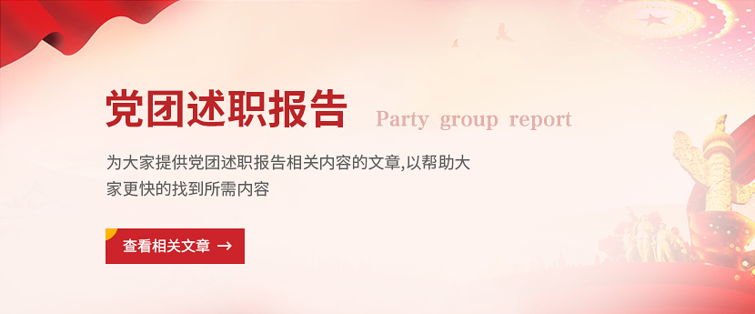党团述职报告
